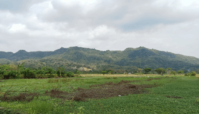 Simplifying Land Conversion in Maharashtra: The Maharashtra Land Revenue Code (Second Amendment) Bill, 2025