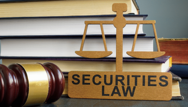 Depository Indemnity in India’s Securities Law